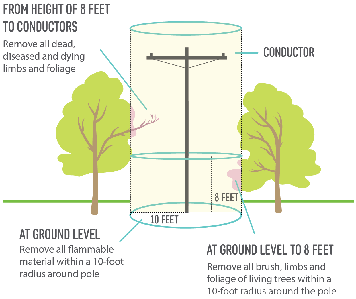 A diagram of a power line from the height of 8 feet to conductors: Remove all dead, diseased, and dying limbs and foliage. The conductor is located at the top of the power pole. At ground level, remove all flammable material within a 10-foot radius around the pole. At Ground Level to 8 feet, remove all brush, limbs, and foliage of living trees within a 10-foot radius around the pole.