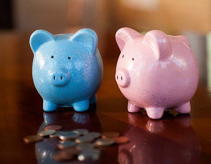 Blue and pink piggy banks