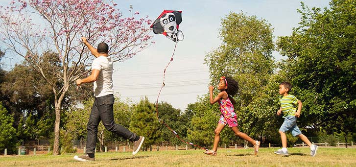 Father flying a kite while the son and daughter are chasing