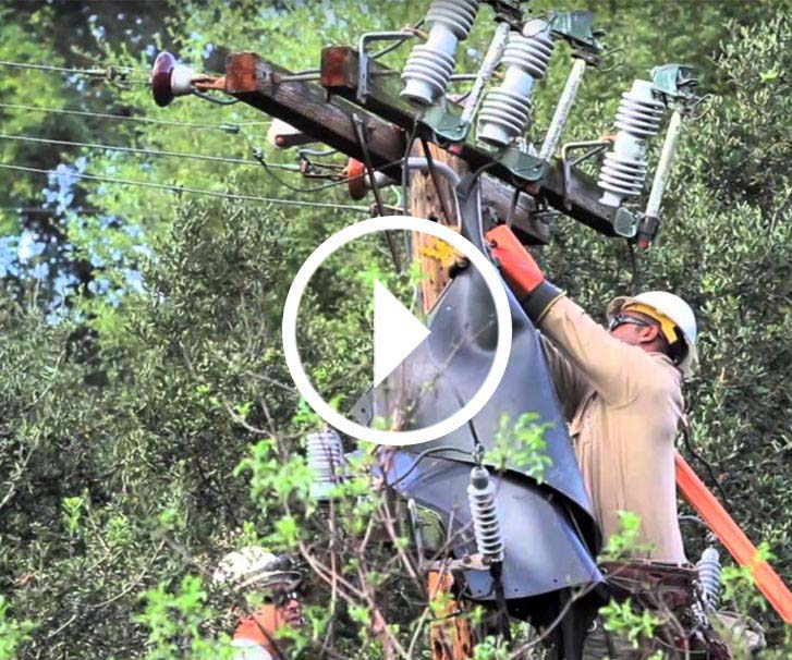 Video thumbnail image of linemen working on transmission line