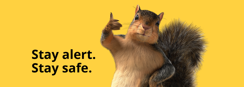 Stay Safe. Stay Alert.