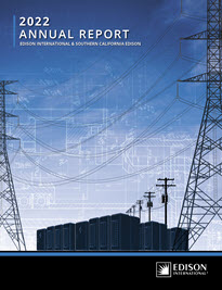 annual report cover image